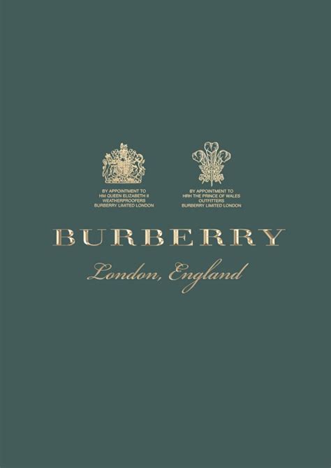 multiple brand store burberry|Burberry brand guidelines.